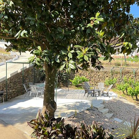Villa Samaritana - Casa Da Vinha Vila Marim Eksteriør bilde